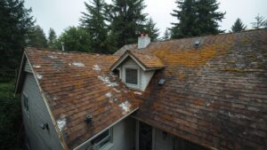 aged asphalt roof showing granule loss and moss in King County WA