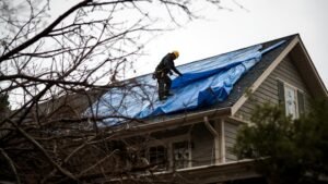Professional roofer installing blue emergency tarp on storm-damaged King County WA home with fallen branches